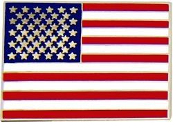 U S Flag Large Pin - 16279 (1 1/2 inch)