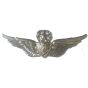 251183-Army-Master-Aviation-wings