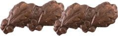 Bronze Oak Leaf(4) Attachment for Ribbon Bars and Full Size Medals - 2513 ((5/16) inch)