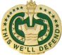 Drill Instructor Sergeant This We'll Defend Insignia Pin - 14217 (1 1/4 inch)