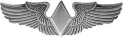 United States Air Force Wasp Wing Pin - 15787 (1 1/4 inch)