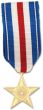Silver Star Anodized Mini Medal - MRA493