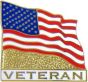 United States Flag Veteran Pin - 14587 (1 inch)