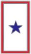 1 Blue Star Service Pin - 14240 (7/8 inch)