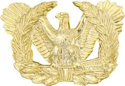 Warrant Officer Insignia Pin - 14095 (1 1/8 inch)