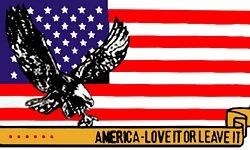 USA - EAGLE 3' X 5' FLAG - PCF15