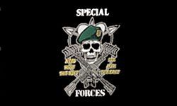 US Army Special Forces 1 Sided Screen Printed Flag 3' x 5' - PCF6