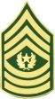 Army Command Sergeant Major E-9 (CSM) Pin - 14431 (1 1/4 inch)