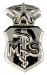 Air Force Master Medical Services Badge - 250442 (1 inch)