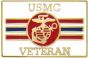 United States Marine Corps Veteran Pin - 15013 (1 inch)