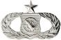 Air Force Senior Weapons Director Badge - 250191 (1 5/8 inch)