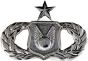 Air Force Senior Operations Support Badge - 250432 (1 3/4 inch)