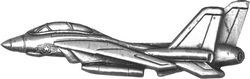 F-14 Aircraft Pin - 15036 (1 1/4 inch)