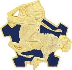 9th Cavalry Regiment Pin - 14136 (1 inch)