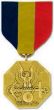 Navy/Marine Corps Anodized Full Size Medal - FSA478