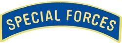 Special Forces Tab Pin - 14566 (1 inch)