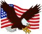 US Flag and Eagle Small Patch - FL1148 (3 1/2 inch)