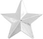 1 Star General Rank Pin - BRIGHT NICKEL - 15735SI (5/8 inch)