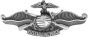 USMC Fleet Marine Force Enlisted Warfare Specialist (FMFEWS) Pin - 14418 (1 7/16 inch)