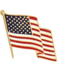 14069 - United States Flag Pin