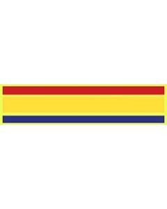 14118 - US Navy/ United States Marine Corps Presidential Unit Citation Ribbon Pin