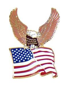 14126 - Eagle & United States Flag Pin