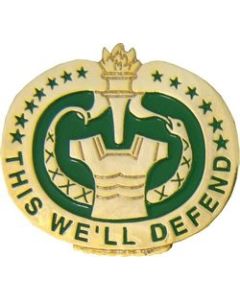 14217 - Drill Instructor Sergeant This We'll Defend Insignia Pin