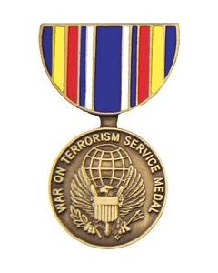 14291 - Global War on Terrorism Service Pin HP520