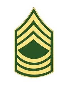 14430 - Army Master Sergeant E-8 (MSG) Pin