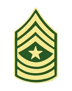 14432 - Army Sergeant Major E-9 (SGM) Pin