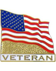 14587 - United States Flag Veteran Pin