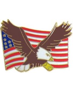 15705 - Eagle and United States Flag Pin