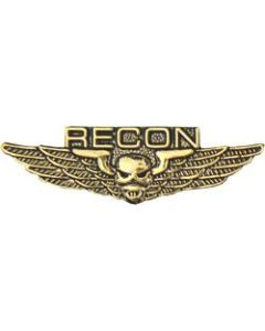 15945 - Reconnaissance (RECON) Wing Pin