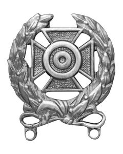 16306ANSI - US Army Expert Qualification Badge