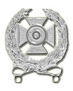 16306SI - US Army Expert Qualification Badge