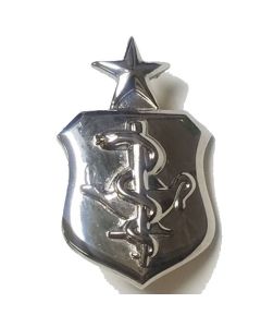 250480 - Air Force Senior Nurse Corps pin