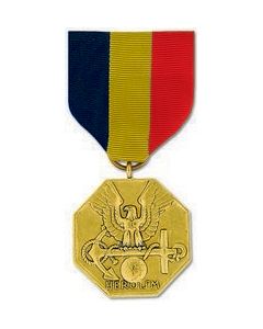 FSA478 - Navy/Marine Corps Anodized Full Size Medal