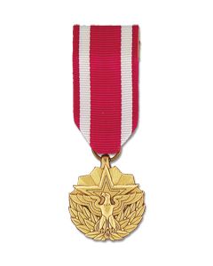 MRA472 - Meritorious Service Anodized Mini Medal