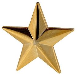 Gold Star Rank pin 3D - 250150 (1 inch)