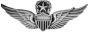 Army Master Aviator Wings Pin - 14467 (3/4 inch)