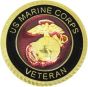 United States Marine Corps Veteran Insignia Pin - 14459 (7/8 inch)