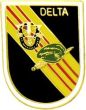 Delta Force Pin - 14231 (1 inch)
