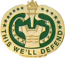 Drill Instructor Sergeant This We'll Defend Insignia Pin - 14217 (1 1/4 inch)