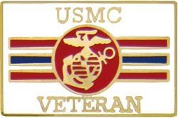 United States Marine Corps Veteran Pin - 15013 (1 inch)